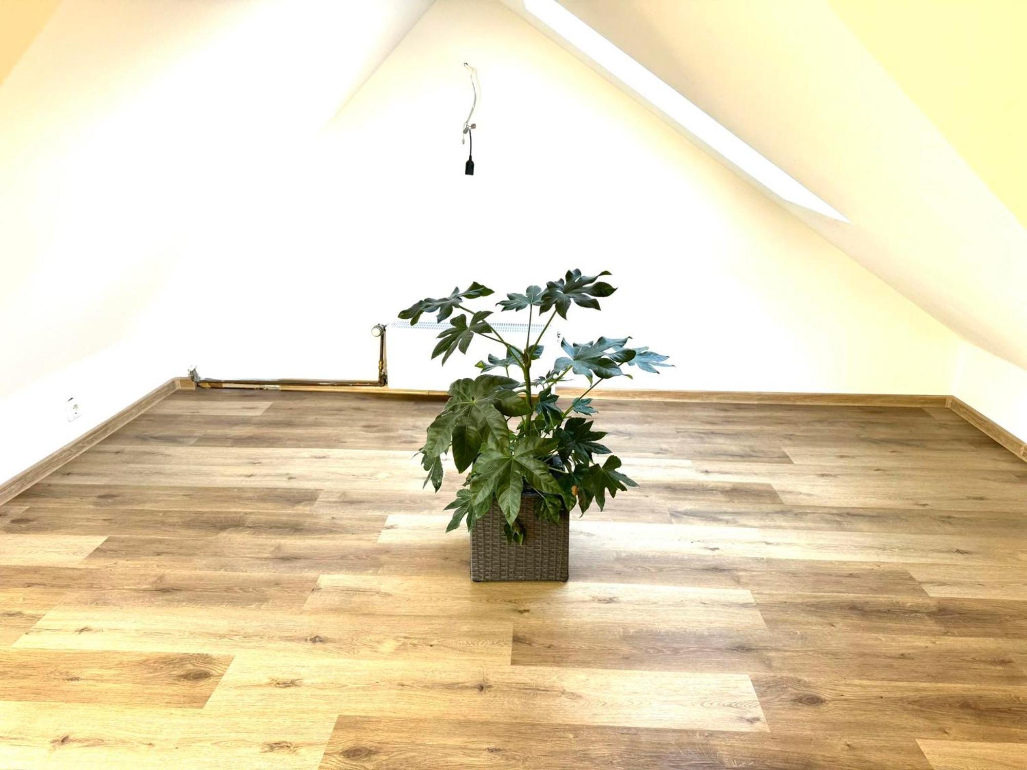 Appartement Ferienhaus Dierdorf Dierdorf